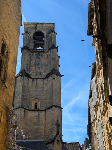 PXL_20260416_090723125_1