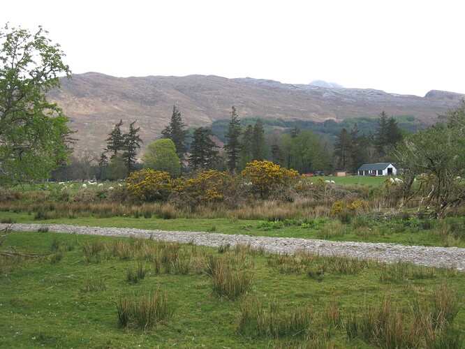 Ecosse (224)