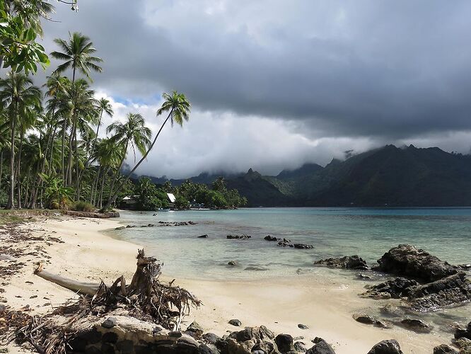 DE RETOUR D'UN MOIS EN POLYNESIE - tontonvin