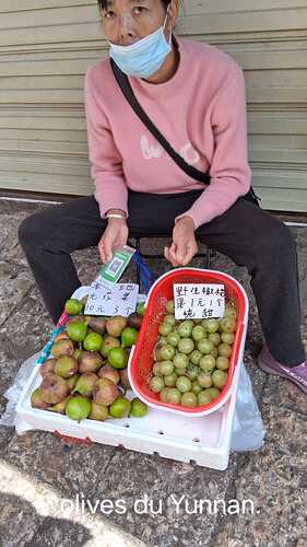 IMG-20251121-WA0015