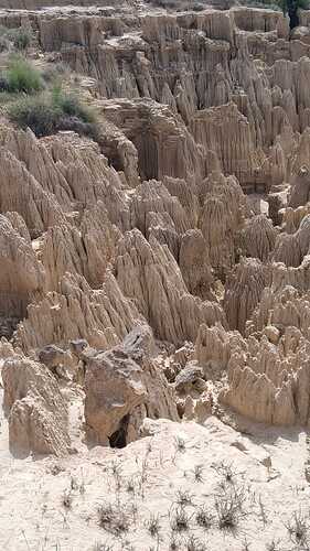 IMG-20250611-WA0002