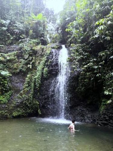 REtour de 10 jours en Martinique du 24 février au 4 mars 2020 - Gini78