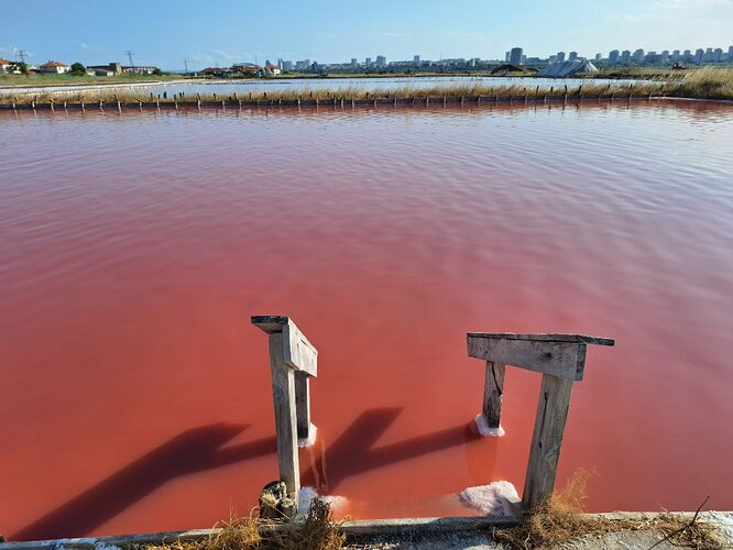 BULGARIE Lac Rose d'Atanasovsko (6)