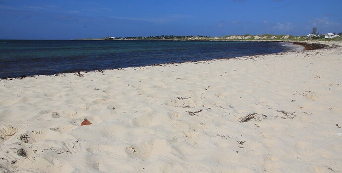 Cove Beach