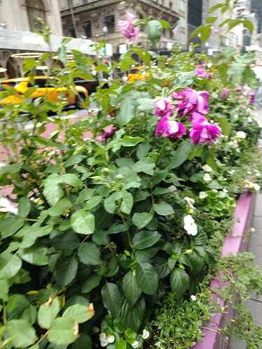 IMG_20250619_131230760_HDR