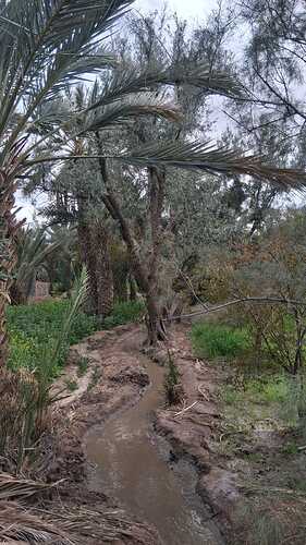 IMG-20260320-WA0039