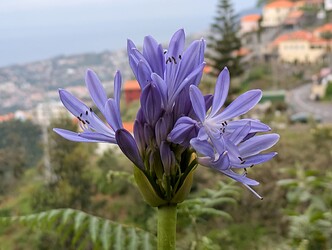 PXL_20250417_085430110