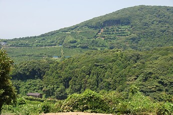 武山 (2)
