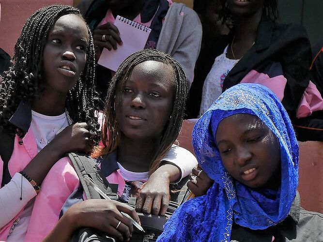 Visages et instantanés du Sénégal, Saint Louis et ses environs ... - fabienne65