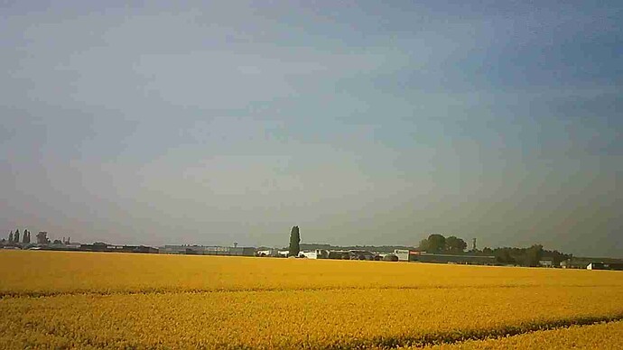 JPG_1745656017024