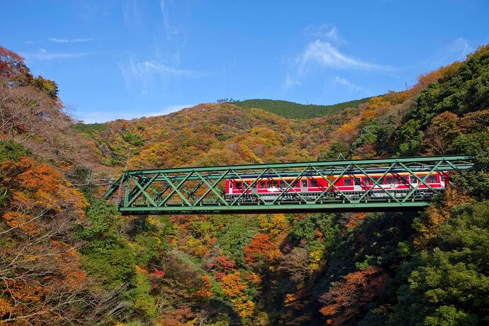 Train montagne de Hakone Tozan