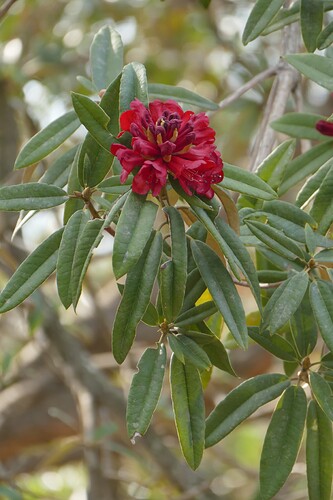 P1340058
