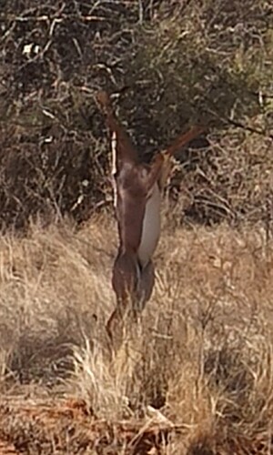 IMG_20250510_193656