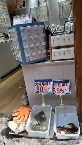 IMG-20251103-WA0039