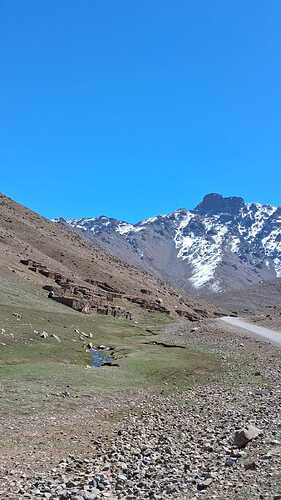 IMG-20250330-WA0002
