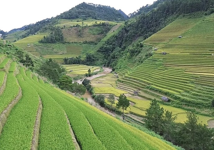 Mukangchai2