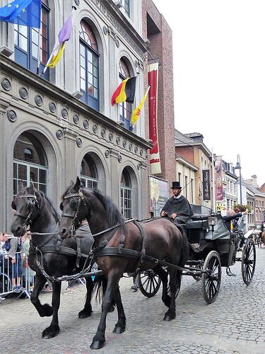 Elle voit des géants partout ! (Ducasse d’Ath, Belgique, Août 2018) - fabienne65