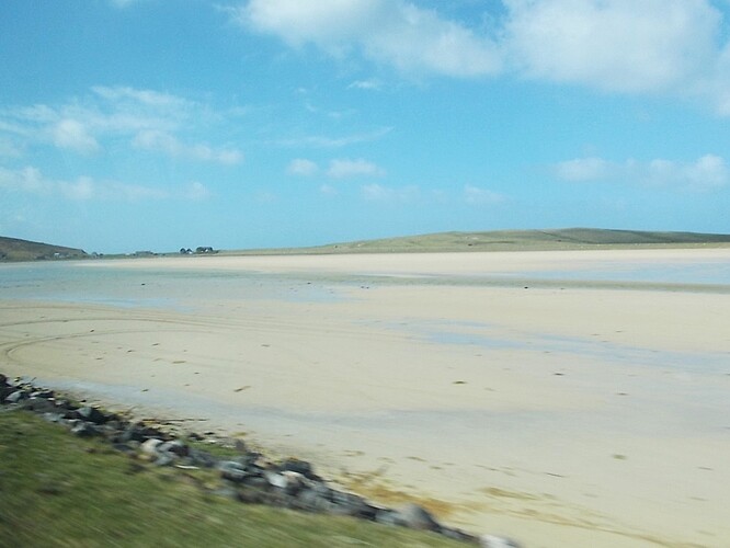 DSCN5381