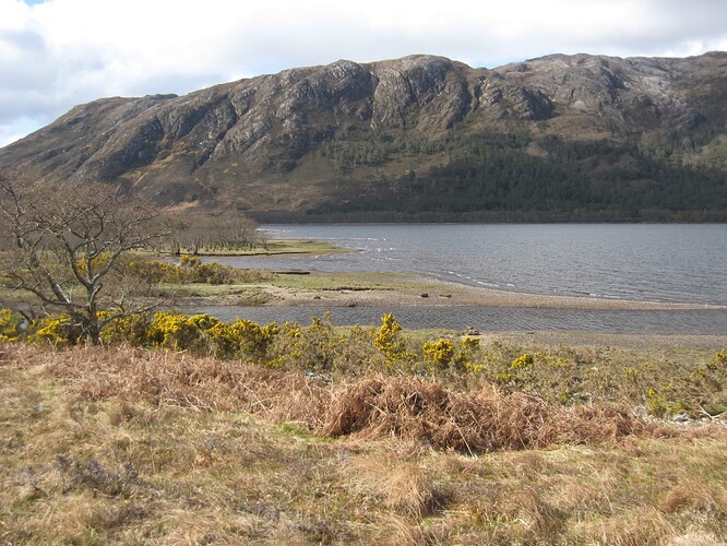 Ecosse (308)1