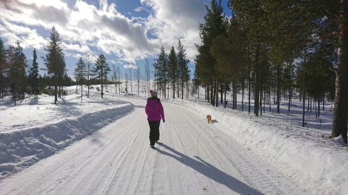 Voyage multi-activités en Laponie finlandaise chez l'habitant - Joh et Max