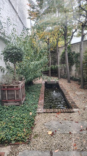 IMG_20251012_123913360_HDR