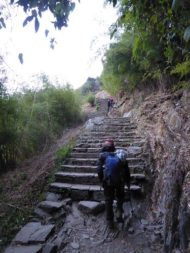 Vers le camp de base de l'Annapurna ! - fab_lio