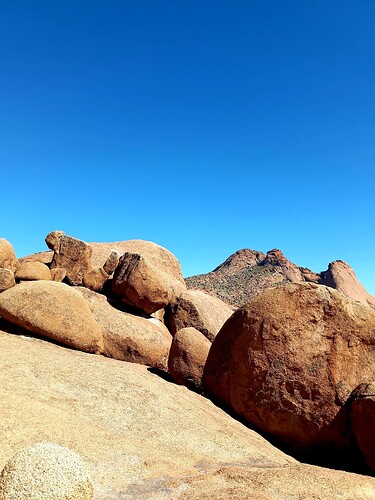 20250425_113100