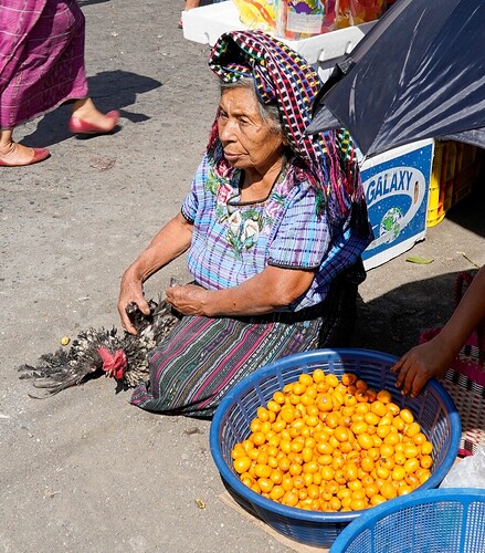 15 jours au Guatemala  - rosie31