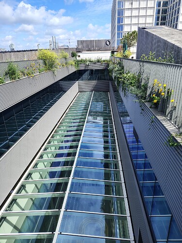 IMG_20250804_125202187_HDR