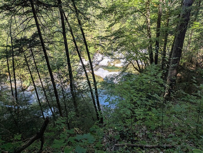 PXL_20250809_113842216_1