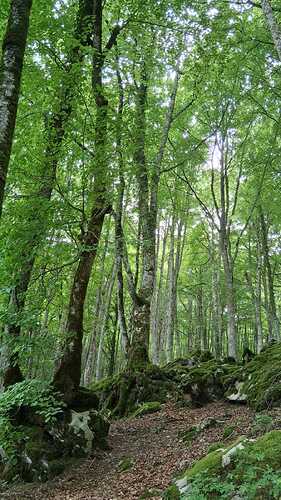 IMG-20250608-WA0010