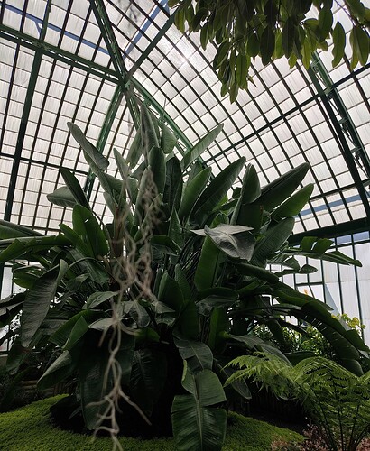 IMG_20250501_103850262_HDR