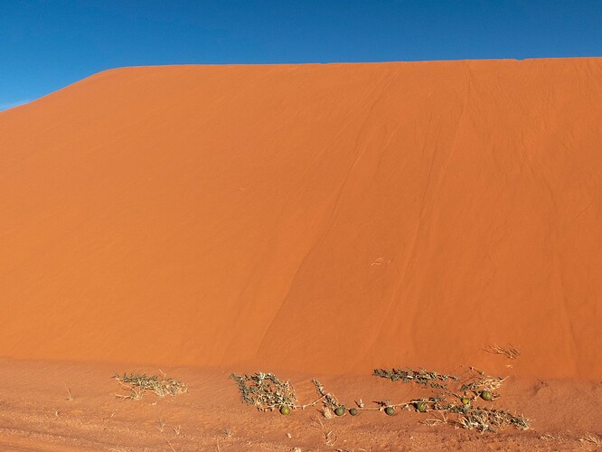 Dunes de Tin Merzouga
