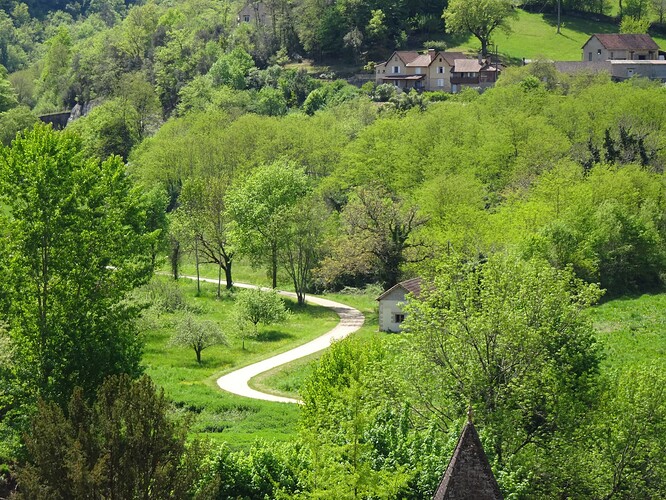 DSC05480_1