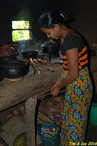 Road trip au Sri Lanka - timdef