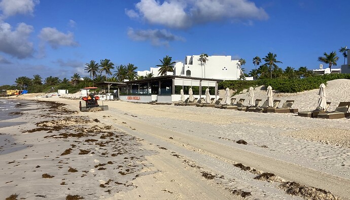 Ramassage des algues (plage de Rendez vous à son extrémité)