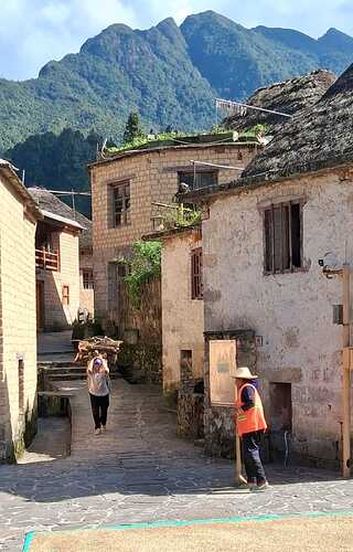 IMG-20251031-WA0019