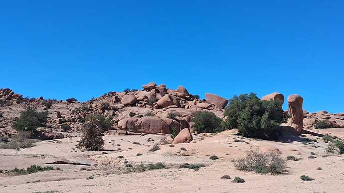 IMG-20260311-WA0005
