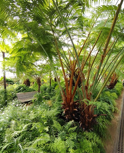 IMG_20250501_105955999_HDR