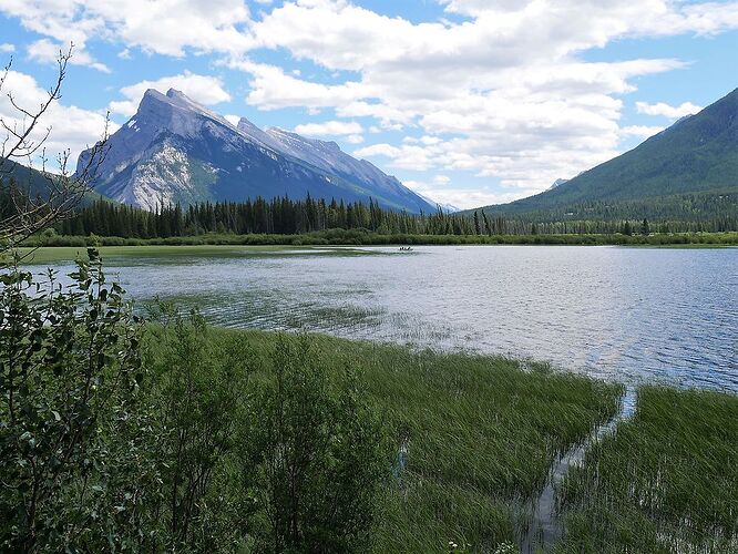 L'Ouest canadien à pleins poumons: épisode 1, les Rocheuses et la chaîne Alberta - fabienne65