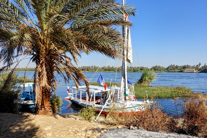 DSC06988