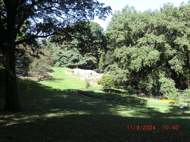 CIMG2448