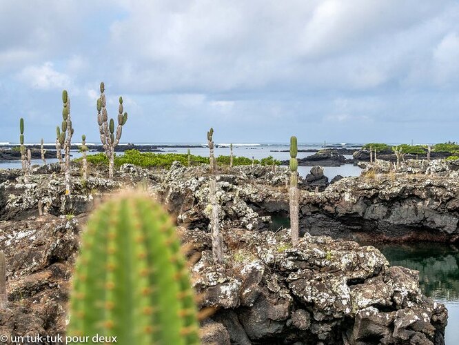 12 jours aux Îles Galápagos en autonomie, c'est vraiment merveilleux! - un-tuk-tuk-pour-deux