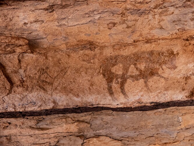 Peintures rupestres : hommes qui chassent et bovins