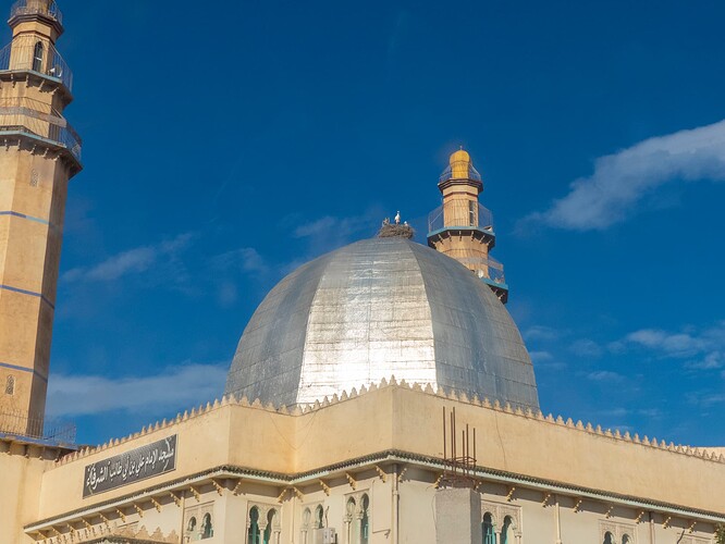 Mosquée de Raffour et cigognes