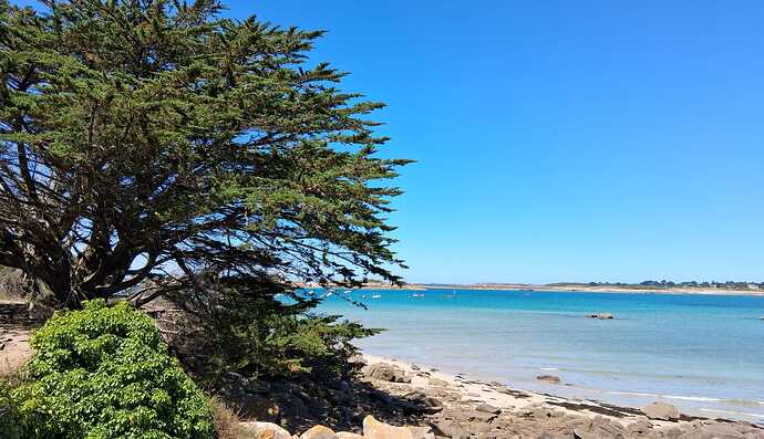 IMG-20250709-WA0015