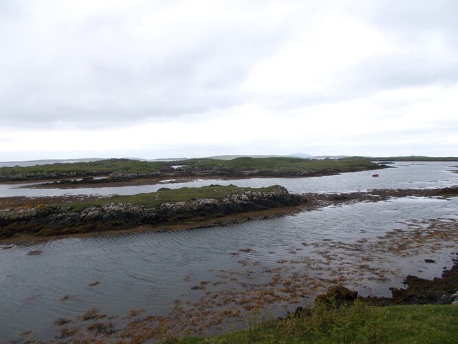 îlot des oies sauvages