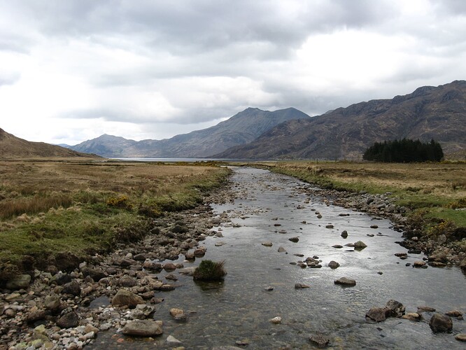 Ecosse (122)