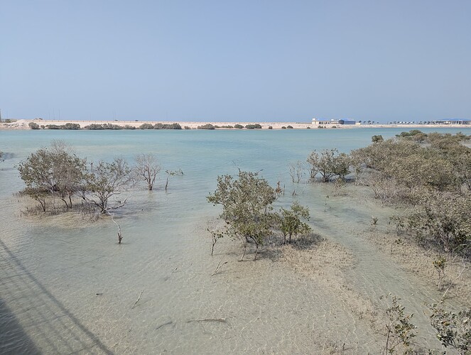 PXL_20250417_104940599_1