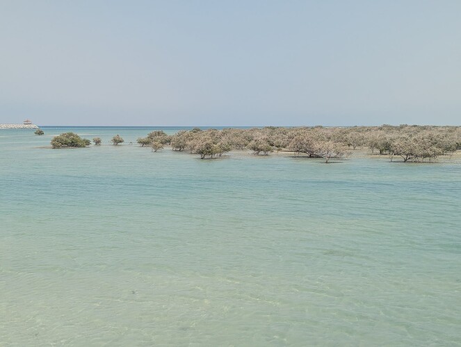 PXL_20250417_105140146_1